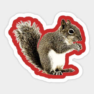 SQUIRREL Sticker